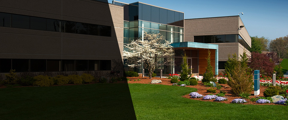 Tarawa Terrace Landscapers