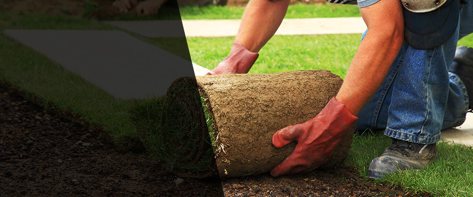 Tarawa Terrace Landscapers